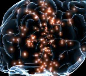 <font color="red">Brain</font>：科学家首次成功测定人类的智力
