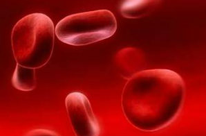 Nat Med：衰老红细胞在脾还是<font color="red">肝脏</font>中清除？新发现改写教科书