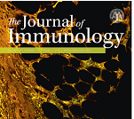J immunol：IL-4, IL-21, 与<font color="red">IFN-</font>γ共同调节激活B细胞T-bet基因表达