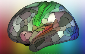 Nature：绘制出有史以来最为详细的人类大脑图谱