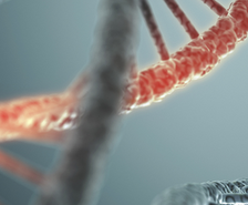Mol Cell：建立药物-基因突变组合拳 为癌症精准治疗开路