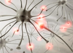 Neurology：显性遗传阿尔兹海默病的癫痫发作致病基因