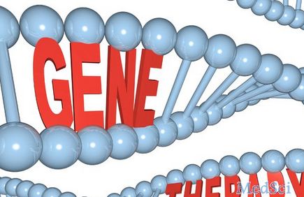 Science 子刊：开发出可有效治疗<font color="red">肝脏</font>代谢疾病的新型基因疗法