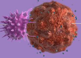肿瘤微环境让抵抗肿瘤的T细胞因<font color="red">饥饿</font>而失去抵抗功能