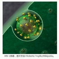Science子刊：鉴定出制造强大HIV抗体的人的免疫学特征