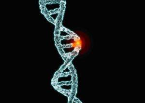 NEJM：转移性前列腺癌DNA-修复基因<font color="red">突变</font>率远高于局部前列腺癌