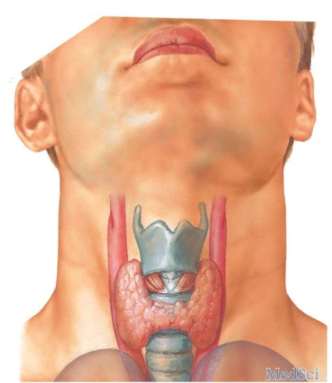 Thyroid：紫杉醇治疗甲状腺<font color="red">未分化</font>癌的可行性和有效性研究