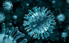 J immunol：细菌调节天然免疫信号新机制