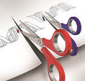 Science“<font color="red">力</font>挺”Nature：新型“魔剪”CRISPR，仅“改写”单个核苷酸！