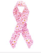 2016年乳腺癌重要指南回顾