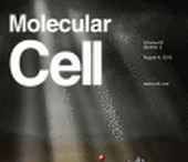 Mol Cell：揭秘！为何干细胞会如此特殊？