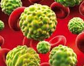 Cancer Cell：癌细胞如何在没有<font color="red">葡萄</font>糖的条件下继续增殖扩张？