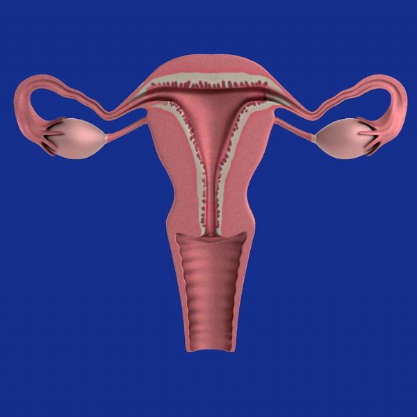 【盘点】关于多囊卵巢综合症你需要了解这些
