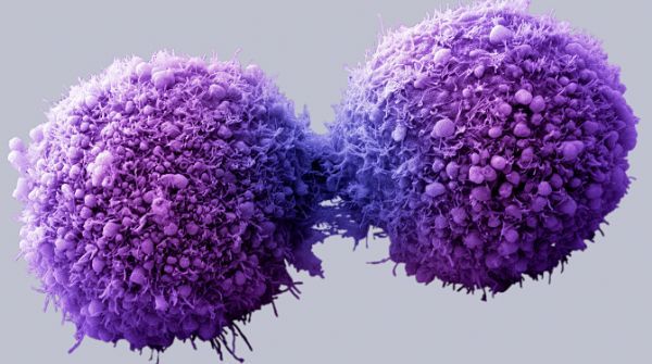 Cancer Cell：为什么缺氧微环境反而让肿瘤变得穷凶极恶？