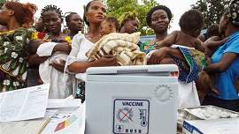 <font color="red">刚果</font>金政府尝试用小剂量疫苗对抗黄热病