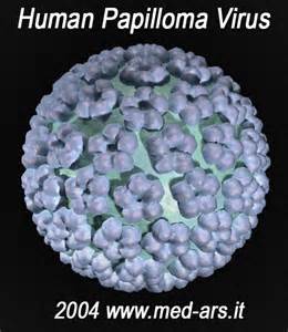 2016BC指南——女性生殖系统肿瘤：HPV相关肿瘤（宫颈、<font color="red">阴道</font>和外阴）（修订版）发布
