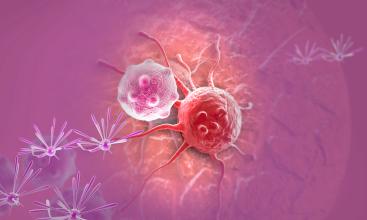 NCB：华人科学家解析GSK3促进肿瘤发生的重要机制