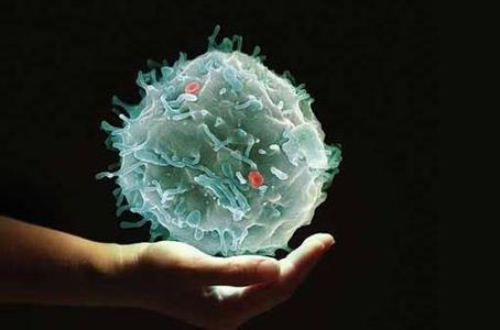 美国研发出癌症新疗法：用近红外线激活免疫细胞