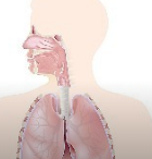 呼吸系统9大急症处理