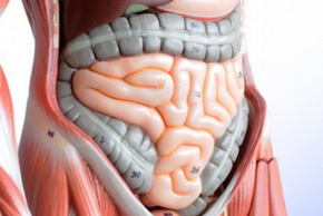 手术后病人早期<font color="red">肠</font>内营养并发腹泻怎么办？