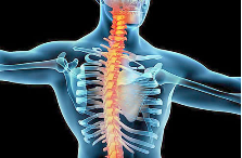 <font color="red">Spine</font>：脊柱融合时使用rhBMP，不会增加癌症风险