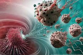 <font color="red">MC</font>-1(T)趋磁球菌“生物导弹”，可精准锁定攻击癌细胞