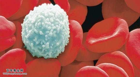 2016ECIL指南——恶性血液肿瘤和干细胞移植患者卡氏肺<font color="red">囊虫</font>肺炎的预防发布