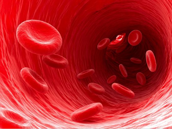 Cell Stem Cell：机体如何制造出健康的血细胞？