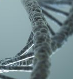JNCI：重磅！科学家利用CRISPR/Cas9技术使癌症突变失活