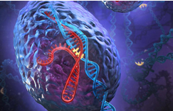 Nature子刊：<font color="red">CRISPR</font>让致命疾病“弃恶从善”