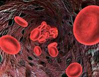 2016ECIL-5建议——血液恶性肿瘤以及接受<font color="red">造血</font>干<font color="red">细胞</font>移植患者病毒性肝炎的管理发布