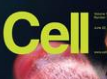 【盘点】上周Cell<font color="red">期刊</font>及Cell子刊亮点研究一览