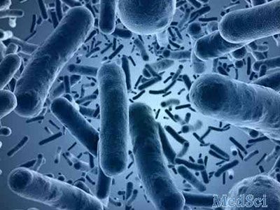 Am J Gastroenterol：口服万古霉素能否预防艰难梭菌感染的复发？