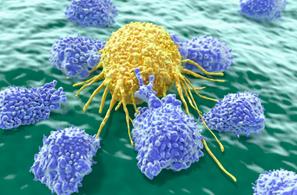 Cell揭秘：<font color="red">癌细胞</font>如何对抗“免疫疗法”？靠突变！ 大牛夫妇新作