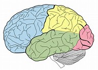 2016神经内镜手术技术治疗脑室<font color="red">脑</font>池系统疾病中国专家共识发布