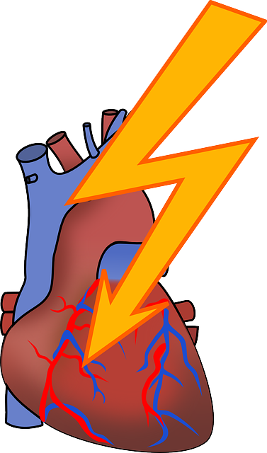 Heart： 低温治疗的心电图特征及心律失常风险