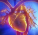 这5 种心血管常用药 男女使用各不同