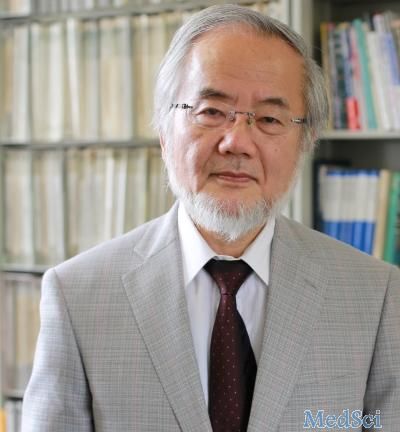 2016诺贝尔生理学或医学奖揭晓，日本科学家大隅良典获奖