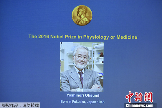 诺贝尔生理学或医学奖得主最新文章登上《细胞》子刊