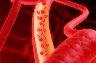 Hepatology：肥胖者血液中细菌<font color="red">多样性</font>下降，暗示肝纤维化？