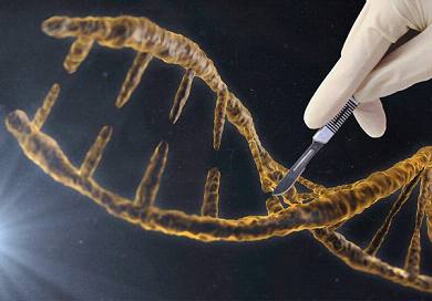 “基因魔剪”CRISPR或成镰状细胞贫血症克星