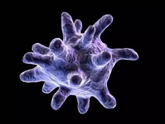 意料不到！巨噬细胞竟悄然成为免疫治疗界新「网红」