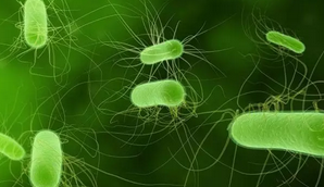 细菌耐药性形势日益严峻，我们该如何应对？