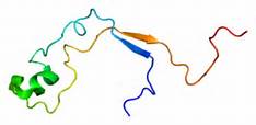 circRNADb：首个汇总编码蛋白环状RNA的<font color="red">数据库</font>