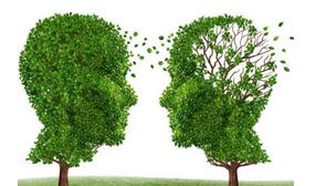 NAT MED：阿尔茨海默病为何会引起记忆损伤？