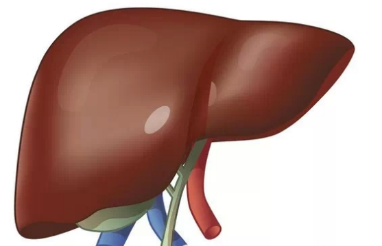 JAMA Surg：肝癌患者肝切除术后与肝功能失代偿相关危险因素研究