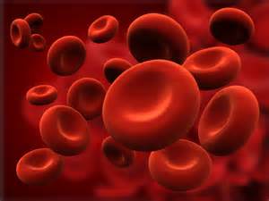 2016AABB临床实践指南：<font color="red">红细胞</font>输注发布