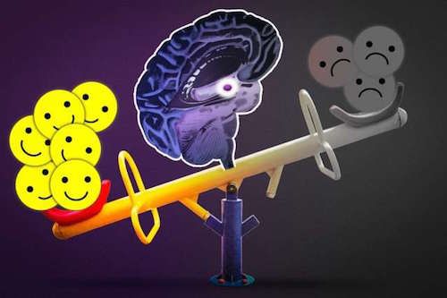 Nature Neuro：编码幸福和恐惧记忆的两个神经元群体被发现