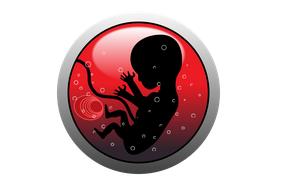 医生说：“等我<font color="red">上班</font>再生”，致胎儿死亡的真相是什么？