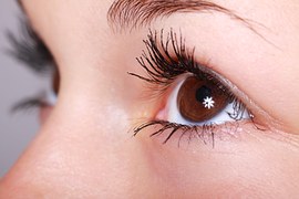 2016AAO临床指南：视网膜及眼动脉阻塞发布